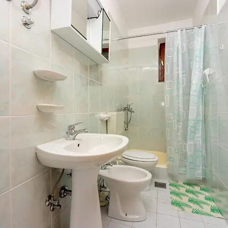 Agava * ノヴィ・ヴィノドロスキー